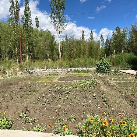 Nature Palace Farmstay She Exterior foto