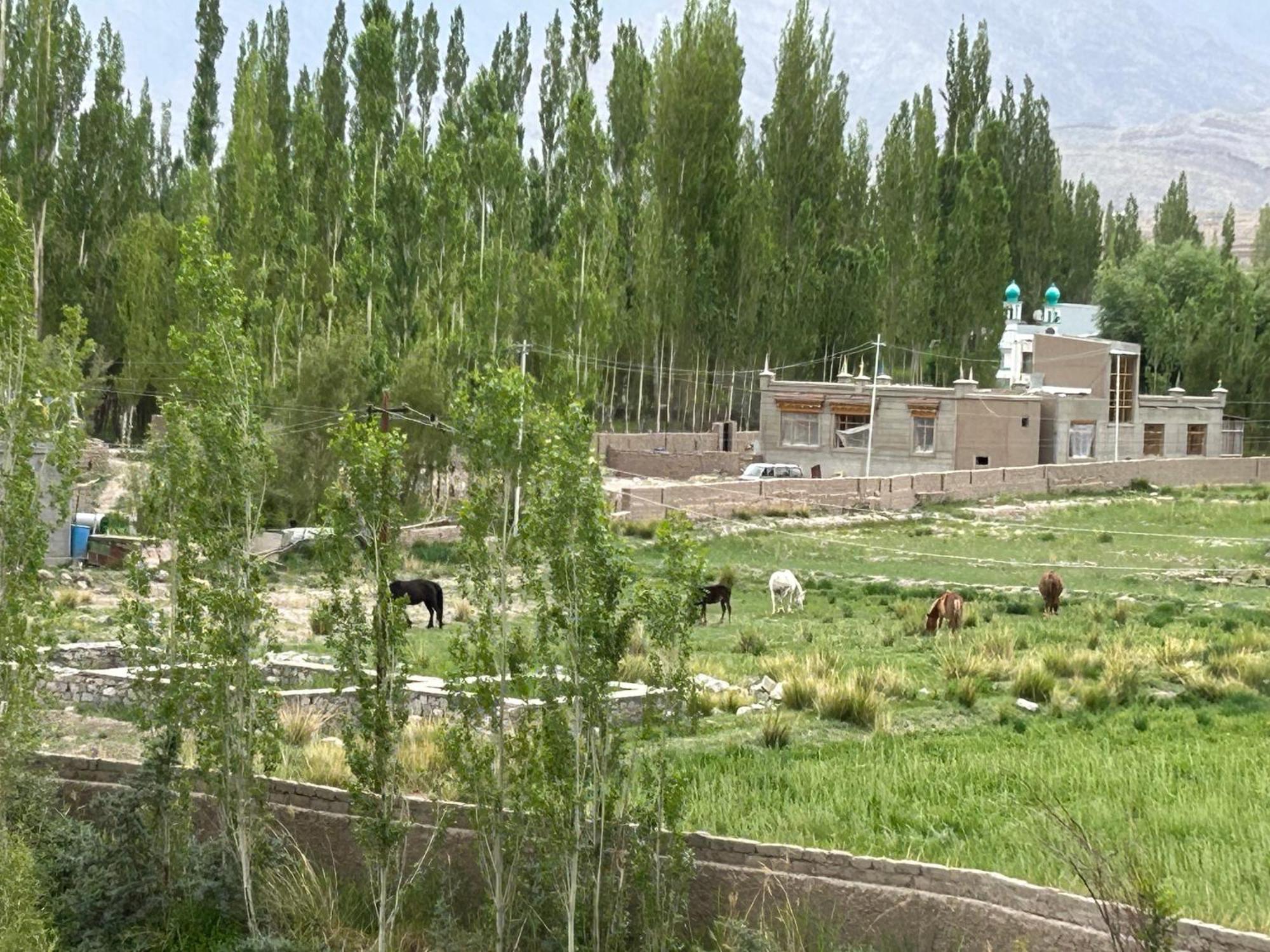 Nature Palace Farmstay She Exterior foto